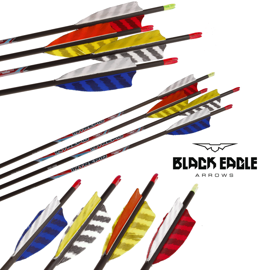 Black Eagle Intrepid Feather Fletched