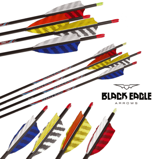 Black Eagle Intrepid Feather Fletched