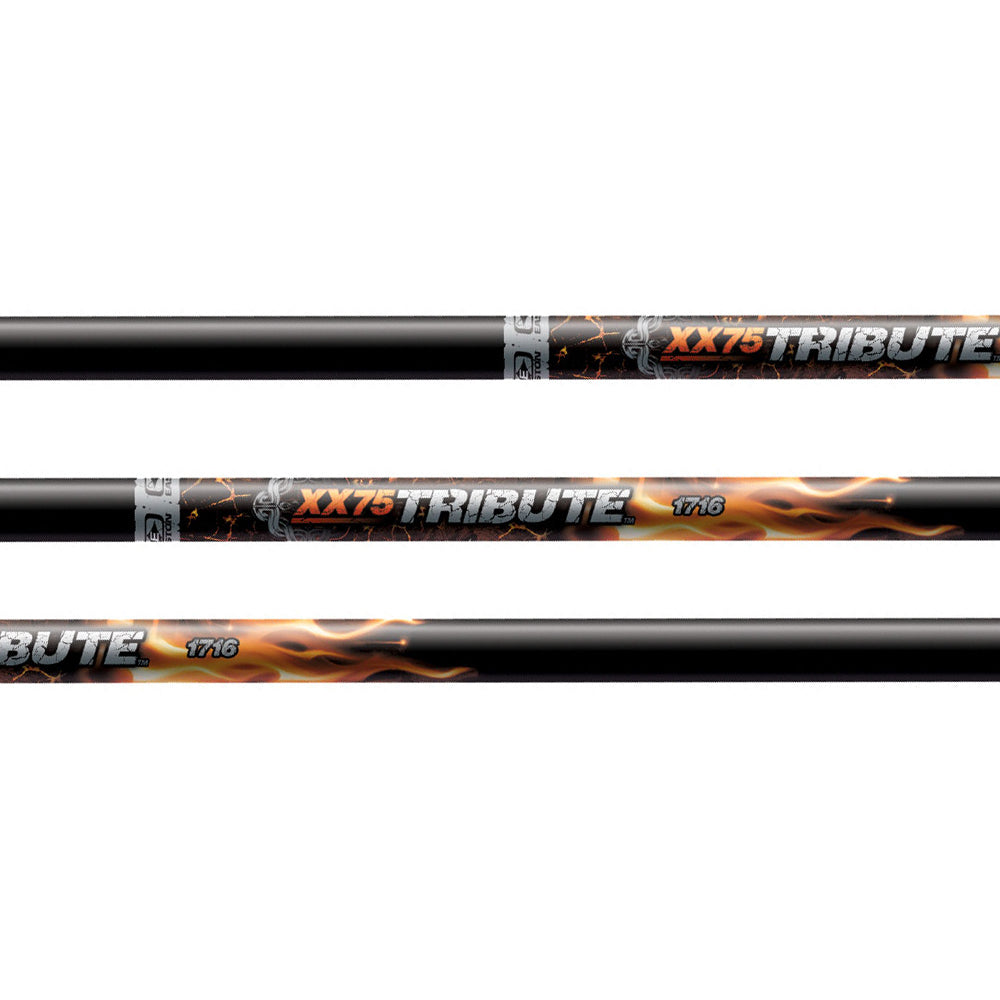 Easton Tribute Aluminium Arrows